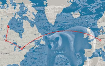 August 2025 Ontario, Manitoba und Deutschland